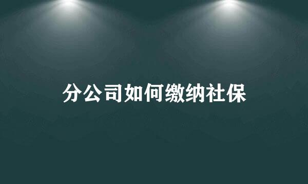 分公司如何缴纳社保