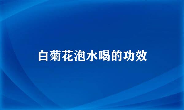 白菊花泡水喝的功效