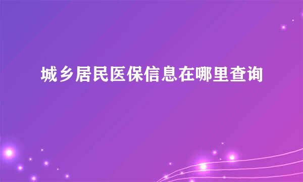城乡居民医保信息在哪里查询