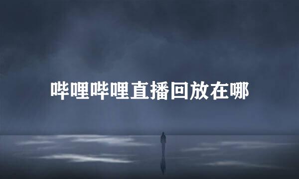 哔哩哔哩直播回放在哪