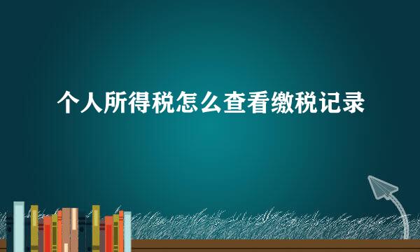 个人所得税怎么查看缴税记录