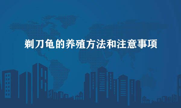 剃刀龟的养殖方法和注意事项