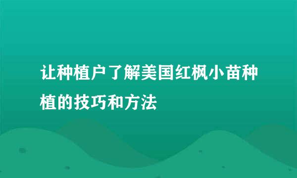 让种植户了解美国红枫小苗种植的技巧和方法