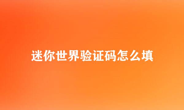 迷你世界验证码怎么填