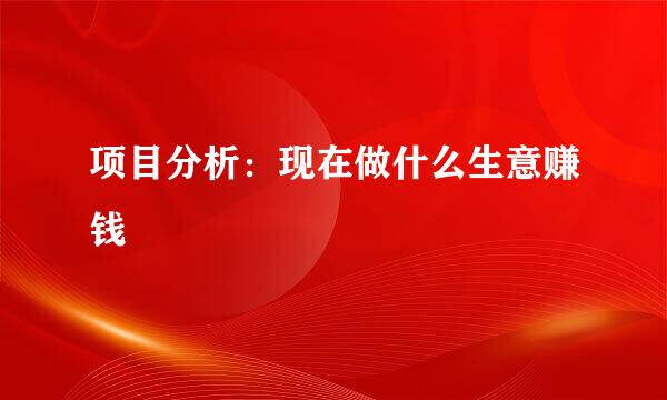 项目分析:现在做什么生意赚钱