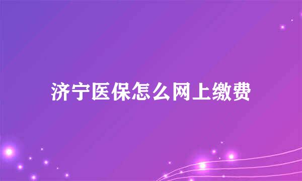 济宁医保怎么网上缴费