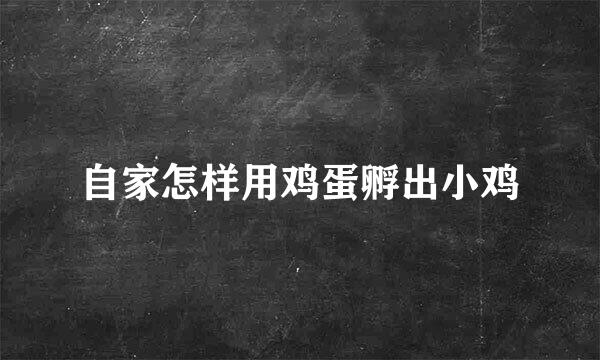 自家怎样用鸡蛋孵出小鸡