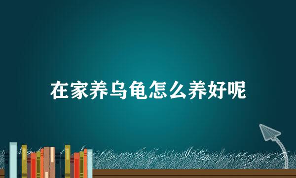 在家养乌龟怎么养好呢