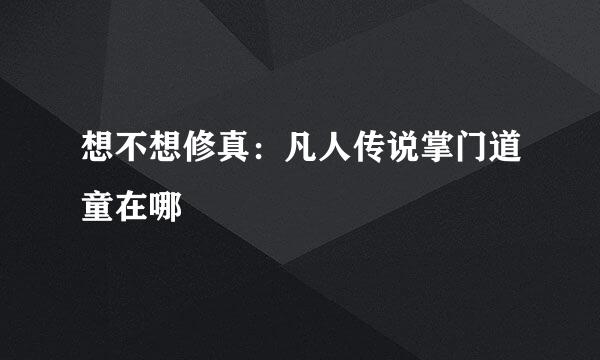 想不想修真:凡人传说掌门道童在哪