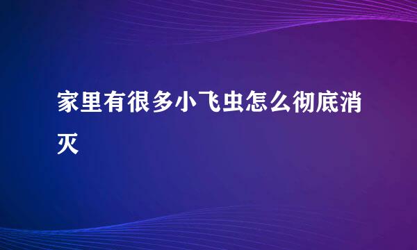 家里有很多小飞虫怎么彻底消灭