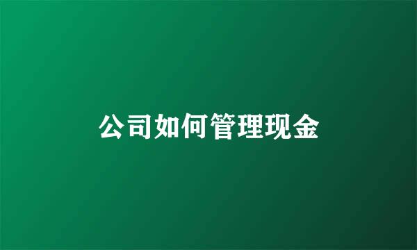 公司如何管理现金