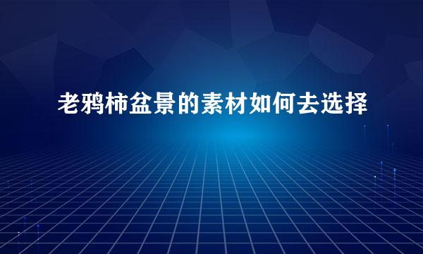 老鸦柿盆景的素材如何去选择