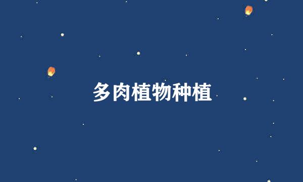 多肉植物种植