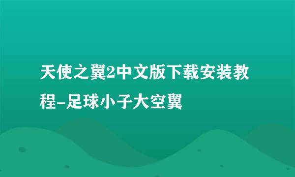 天使之翼2中文版下载安装教程-足球小子大空翼