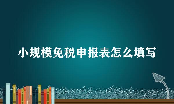 小规模免税申报表怎么填写