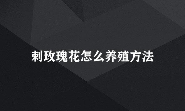 刺玫瑰花怎么养殖方法