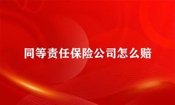 同等责任保险公司怎么赔