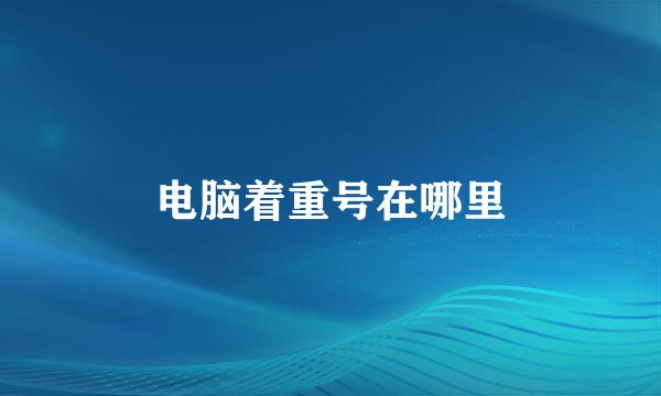 电脑着重号在哪里
