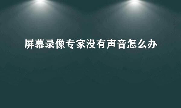 屏幕录像专家没有声音怎么办