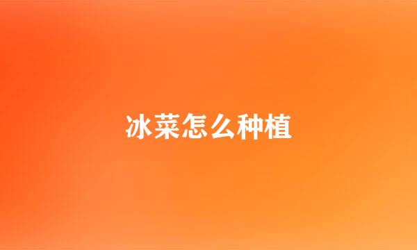 冰菜怎么种植