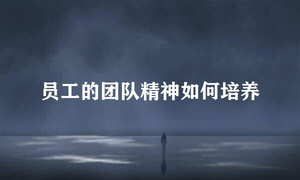 员工的团队精神如何培养