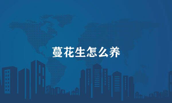 蔓花生怎么养