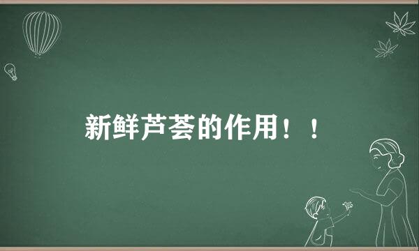 新鲜芦荟的作用!!