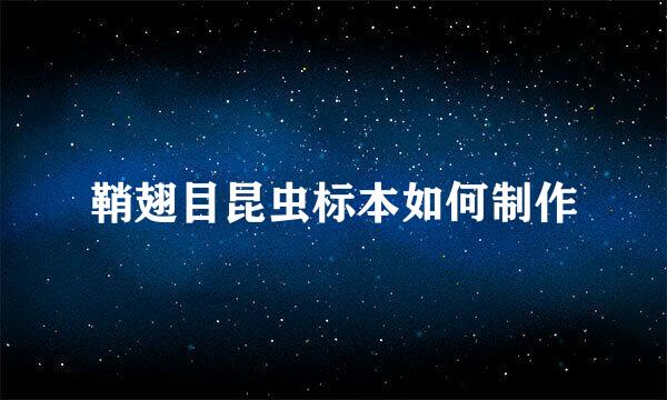 鞘翅目昆虫标本如何制作