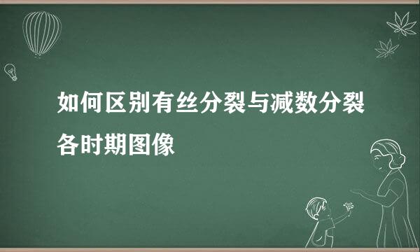 如何区别有丝分裂与减数分裂各时期图像