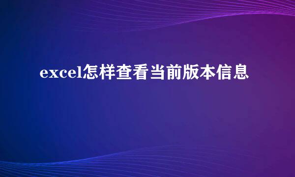 excel怎样查看当前版本信息