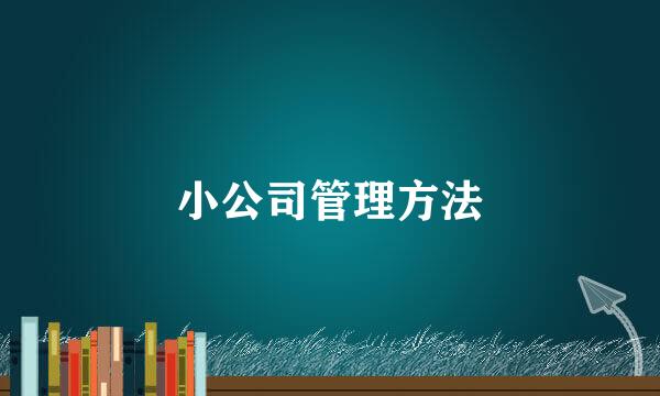 小公司管理方法