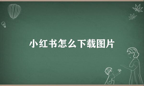 小红书怎么下载图片