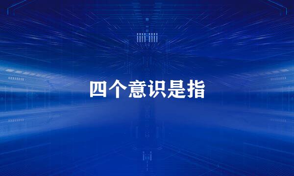 四个意识是指
