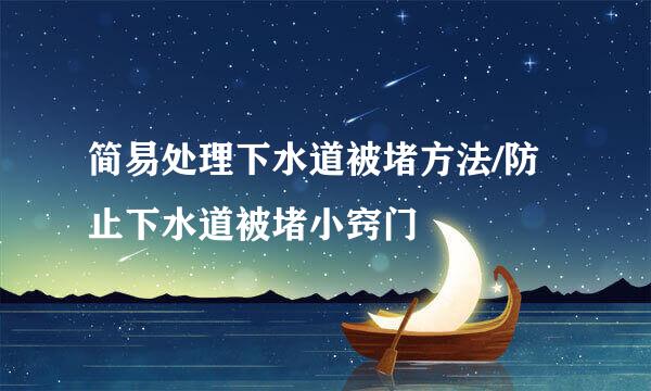 简易处理下水道被堵方法/防止下水道被堵小窍门