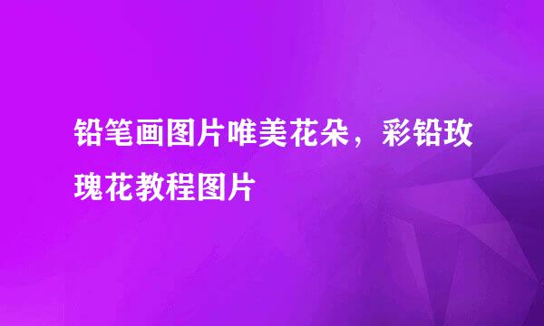 铅笔画图片唯美花朵,彩铅玫瑰花教程图片