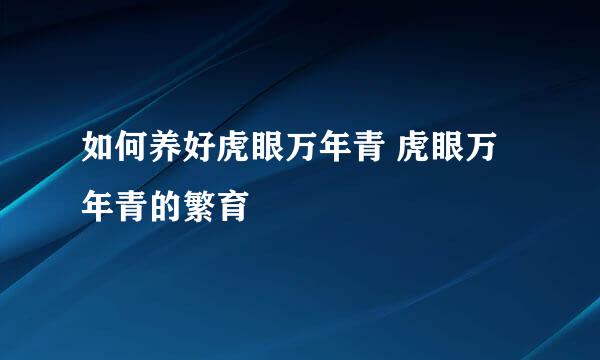 如何养好虎眼万年青 虎眼万年青的繁育