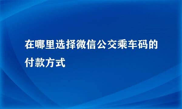 在哪里选择微信公交乘车码的付款方式