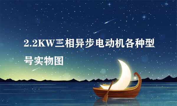 2.2KW三相异步电动机各种型号实物图