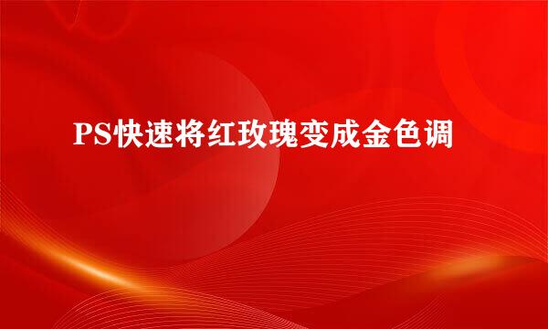 PS快速将红玫瑰变成金色调