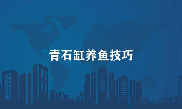 青石缸养鱼技巧