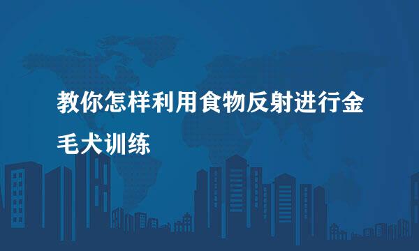 教你怎样利用食物反射进行金毛犬训练