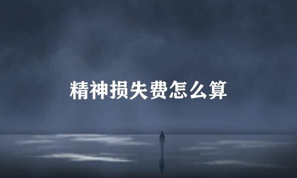 精神损失费怎么算