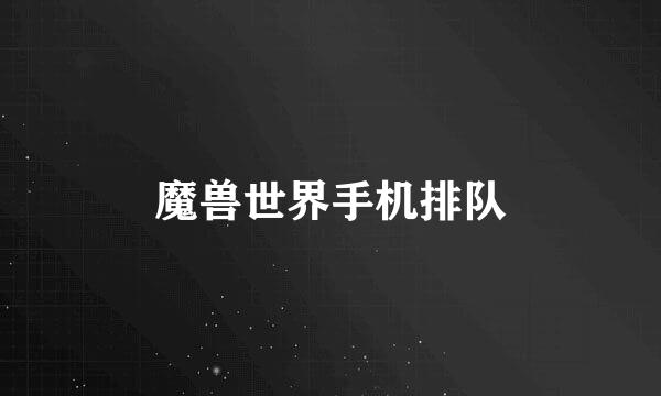 魔兽世界手机排队
