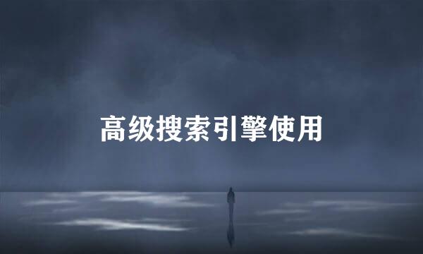 高级搜索引擎使用