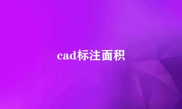 cad标注面积