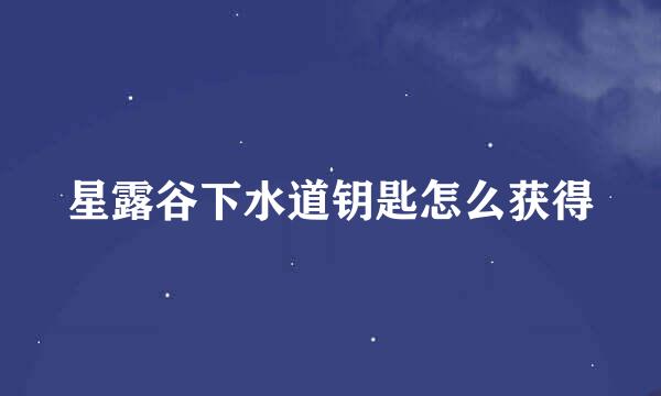 星露谷下水道钥匙怎么获得