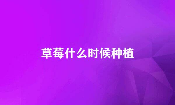 草莓什么时候种植