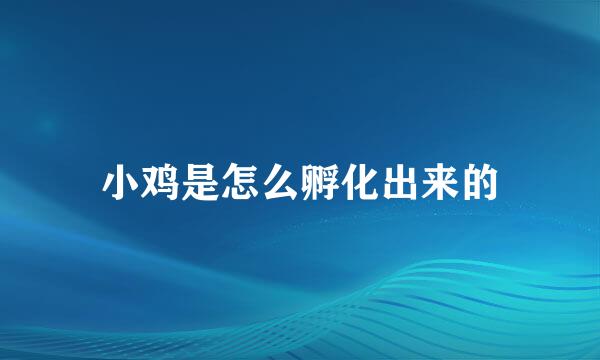 小鸡是怎么孵化出来的