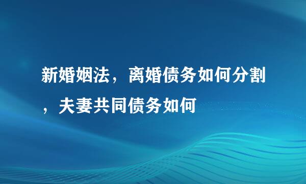 新婚姻法,离婚债务如何分割,夫妻共同债务如何