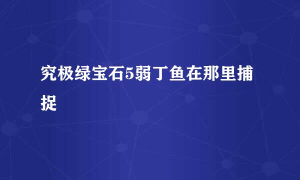 究极绿宝石5弱丁鱼在那里捕捉